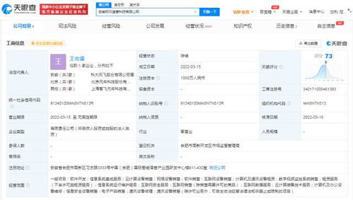 科大訊飛安徽再落兩子，千萬(wàn)元級(jí)新公司聚焦AI基礎(chǔ)軟件研發(fā)